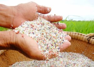 C&oacute; thể giảm bao nhi&ecirc;u ph&acirc;n b&oacute;n trong trồng trọt? 