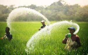 Lo sợ nguồn cung giảm mạnh v&agrave; chi ph&iacute; lương thực to&agrave;n cầu tăng cao, Mỹ `&acirc;m thầm` khuyến kh&iacute;ch việc mua b&aacute;n ph&acirc;n b&oacute;n Nga 