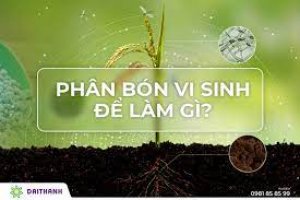 Nghi&ecirc;n cứu ứng dụng c&ocirc;ng nghệ bức xạ trong sản xuất ph&acirc;n b&oacute;n vi sinh vật dạng hạt v&agrave; ph&acirc;n b&oacute;n l&aacute;