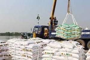 Nhập khẩu ph&acirc;n b&oacute;n 10 th&aacute;ng năm 2023 tăng lượng, giảm kim ngạch