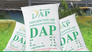 Ch&iacute;nh thức &aacute;p thuế tự vệ với ph&acirc;n b&oacute;n nhập khẩu DAP v&agrave; MAP