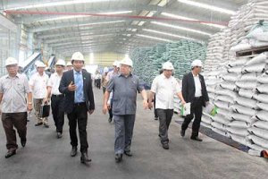 Tổng hợp thị trường ph&acirc;n b&oacute;n nửa đầu th&aacute;ng 3 