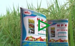 Triển vọng thị trường ph&acirc;n b&oacute;n thế giới năm 2021 sẽ s&ocirc;i động c&ugrave;ng nhịp thị trường ngũ cốc