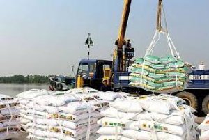 Nhập khẩu ph&acirc;n b&oacute;n 9 th&aacute;ng đầu năm 2024 trị gi&aacute; gần 1,28 tỷ USD