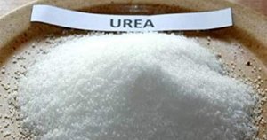 Khủng hoảng nguồn cung: Gi&aacute; ph&acirc;n đạm ur&ecirc; li&ecirc;n tiếp lập c&aacute;c kỷ lục mới