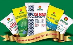 Thị trường xuất khẩu ph&acirc;n b&oacute;n năm 2023 