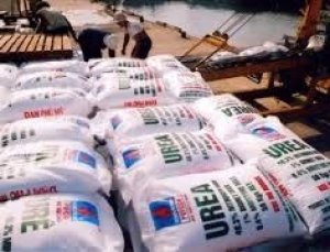 Nhập khẩu ph&acirc;n b&oacute;n tăng cả lượng v&agrave; trị gi&aacute; 