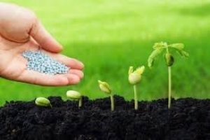 Hai th&aacute;ng đầu năm 2019, ph&acirc;n b&oacute;n xuất xứ từ Trung Quốc chiếm 24,1% thị phần