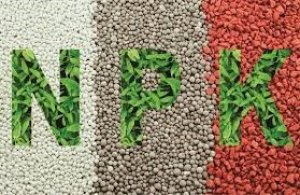 Xuất khẩu ph&acirc;n b&oacute;n 8 th&aacute;ng đầu năm 2024 tăng cả lượng v&agrave; kim ngạch