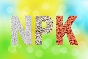 Th&aacute;ng 10/2019, xuất khẩu ph&acirc;n b&oacute;n lượng giảm nhưng kim ngạch tăng trưởng 