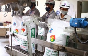 Gi&aacute; ph&acirc;n b&oacute;n tăng mạnh, doanh nghiệp c&oacute; được lợi? 