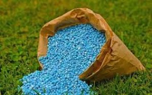 Xuất khẩu phân bón tháng 1/2024 tăng cả lượng và kim ngạch