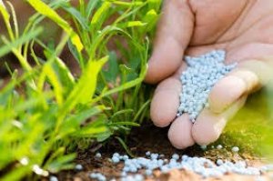 TT ph&acirc;n b&oacute;n thế giới: Biến động gi&aacute; ở cả sản phẩm v&agrave; nguy&ecirc;n liệu 