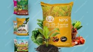 C&aacute;c thị trường chủ yếu cung cấp ph&acirc;n b&oacute;n cho Việt Nam qu&yacute; 1/2021