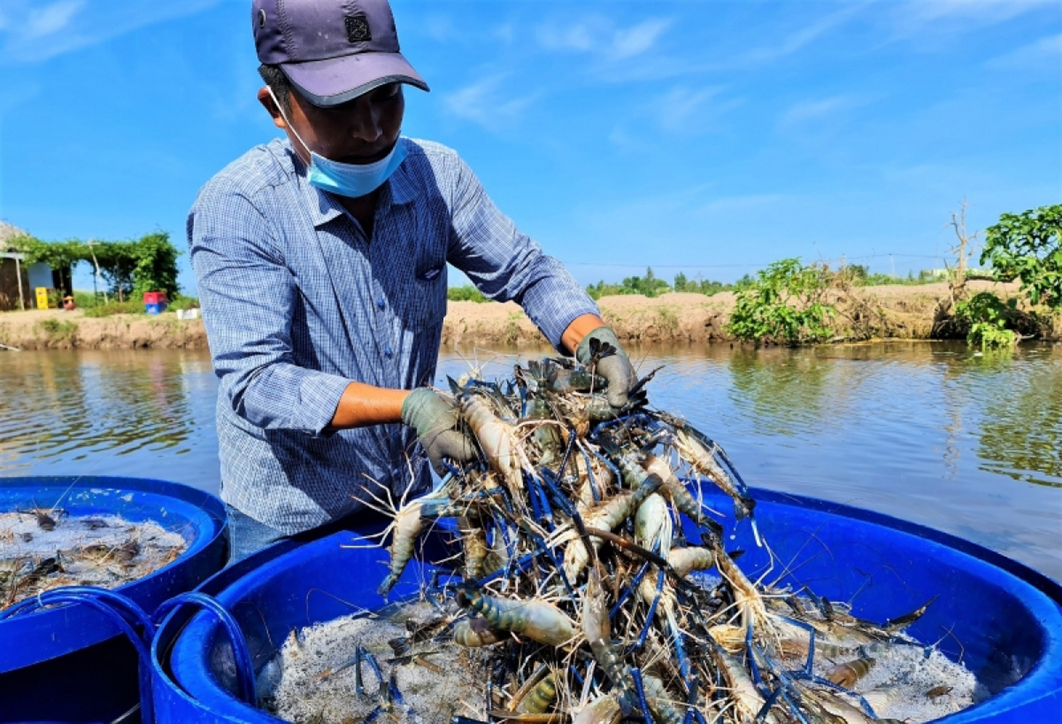 Ph&aacute;t triển n&ocirc;ng nghiệp sinh th&aacute;i gắn với x&acirc;y dựng n&ocirc;ng th&ocirc;n mới ở Việt Nam hiện nay