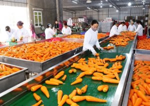 Xuất khẩu n&ocirc;ng sản: Cơ hội bứt tốc cuối năm