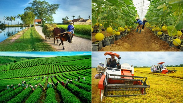Ph&ecirc; duyệt Chiến lược ph&aacute;t triển khuyến n&ocirc;ng tầm nh&igrave;n đến năm 2050 
