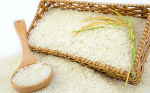 Xu hướng gi&aacute; gạo Ch&acirc;u &Aacute; tăng sẽ c&ograve;n tiếp diễn 