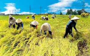 N&ocirc;ng nghiệp đang đứng trước "2 c&aacute;i nhất" 