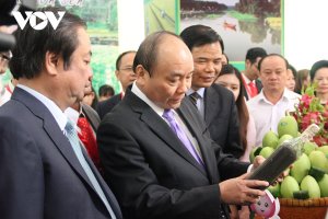 Nghị quyết &ldquo;thuận thi&ecirc;n&rdquo; &ndash; Hướng đến một ĐBSCL tr&ugrave; ph&uacute;, bền vững 