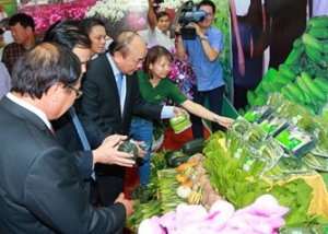Nh&agrave; nước tạo lập tiền đề ph&aacute;t triển n&ocirc;ng nghiệp c&ocirc;ng nghệ cao ở Việt Nam