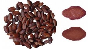 Trung Quốc lai tạo th&agrave;nh c&ocirc;ng gạo t&iacute;m phục vụ việc chữa bệnh ung thư