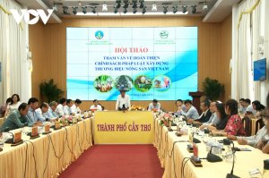 Ho&agrave;n thiện ch&iacute;nh s&aacute;ch x&acirc;y dựng thương hiệu n&ocirc;ng sản Việt Nam