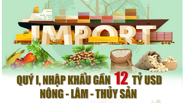 Qu&yacute; I, nhập khẩu gần 12 tỷ USD c&aacute;c mặt h&agrave;ng n&ocirc;ng - l&acirc;m - thủy sản