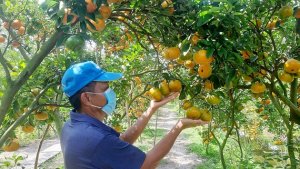 N&ocirc;ng sản Việt tăng tốc chiếm thị phần xuất khẩu