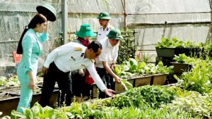 Sức sống Trường Sa: Xanh mướt những `c&aacute;nh đồng rau` nơi đảo xa 