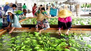 Kim ngạch xuất khẩu n&ocirc;ng l&acirc;m thủy sản tăng 26%