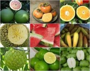 Xuất khẩu rau quả sang c&aacute;c thị trường 4 th&aacute;ng đầu năm 2021 