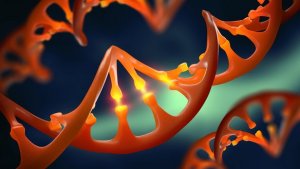 Phát hi&ecirc;̣n ra nguy&ecirc;n nh&acirc;n vì sao h&ecirc;̣ th&ocirc;́ng bi&ecirc;n t&acirc;̣p gen CRISPR đ&ocirc;i khi bị hỏng hóc