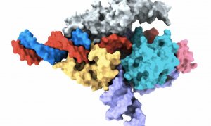 Kh&aacute;m ph&aacute; hệ thống mới c&oacute; thể chỉnh sửa hệ gene người