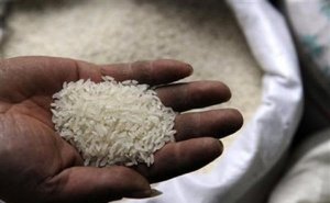 Gi&aacute; gạo Việt Nam chạm đỉnh 13 th&aacute;ng 