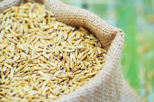 USDA: Nhập khẩu gạo thế giới sẽ duy tr&igrave; ở mức cao