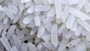 Năm 2017 dự báo khả quan với các nước xuất khẩu gạo