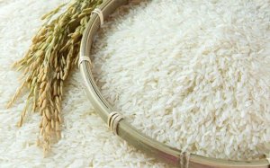 Trung Quốc ng&agrave;y c&agrave;ng chi phối thị trường l&uacute;a gạo to&agrave;n cầu 