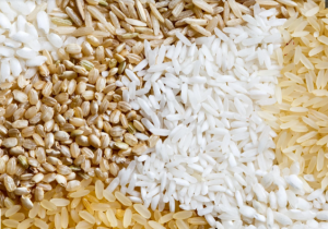 USDA dự b&aacute;o thương mại gạo thế giới năm 2021 v&agrave; 2022 (b&aacute;o c&aacute;o th&aacute;ng 8/2021)