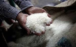 Xuất khẩu gạo Ấn Độ sẽ tiếp tục ph&aacute; kỷ lục do nhu cầu từ Bangladesh
