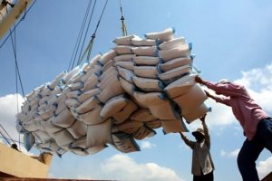 USDA dự b&aacute;o thương mại gạo thế giới năm 2021