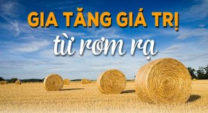 Gia tăng gi&aacute; trị từ rơm rạ