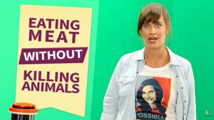 SuperMeat đang tìm cách thay th&ecirc;́ lò m&ocirc;̉ bằng khoa học
