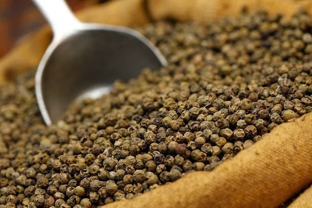 Sản lượng ti&ecirc;u c&oacute; thể tăng 10% trong ni&ecirc;n vụ tới?