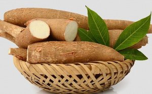 Gi&aacute; sắn xuất khẩu tăng mạnh 