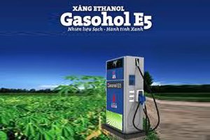 T&aacute;c động của việc trồng sắn cho sản xuất nhi&ecirc;n liệu sinh học đ&ecirc;́n đa dạng sinh học trong cảnh quan: tổng quan tại Việt Nam