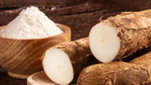 Thị trường sắn c&oacute; thể s&ocirc;i động v&agrave;o cuối năm nhờ nhu cầu Trung Quốc cao