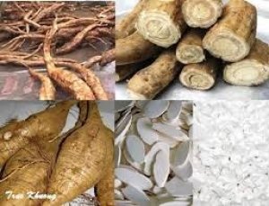 Xuất khẩu sắn giảm mạnh do Trung Quốc giảm mua