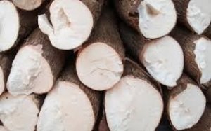 Xuất khẩu sắn tăng trở lại sau hai th&aacute;ng giảm li&ecirc;n tiếp 