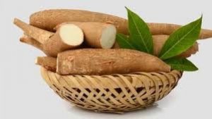 Th&aacute;ng 3/2019, xuất khẩu sắn v&agrave; sản phẩm từ sắn tăng mạnh cả lượng v&agrave; trị gi&aacute; 